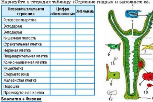 Сайт кракен тор браузера