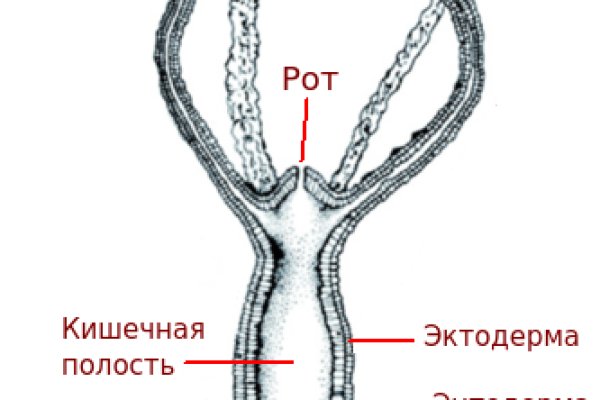 Kraken зеркало kraken dark link